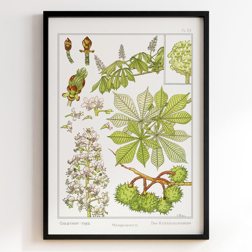 Постер Моріс Пійяр Вернейль | Maurice Pillard Verneuil Арт: 28680