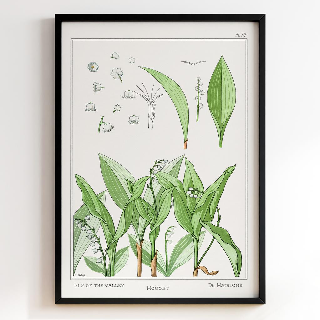 Постер Моріс Пійяр Вернейль | Maurice Pillard Verneuil Арт: 28690