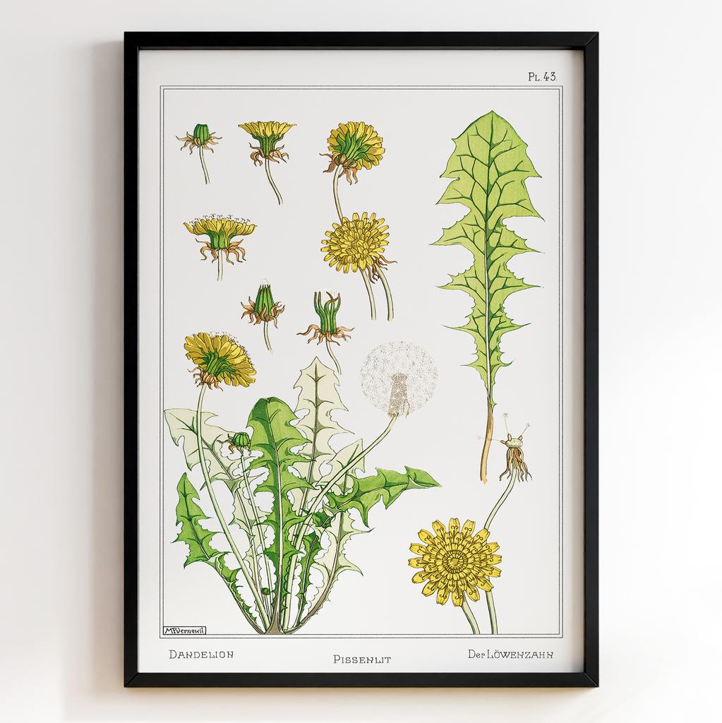 Постер Моріс Пійяр Вернейль | Maurice Pillard Verneuil Арт: 28723