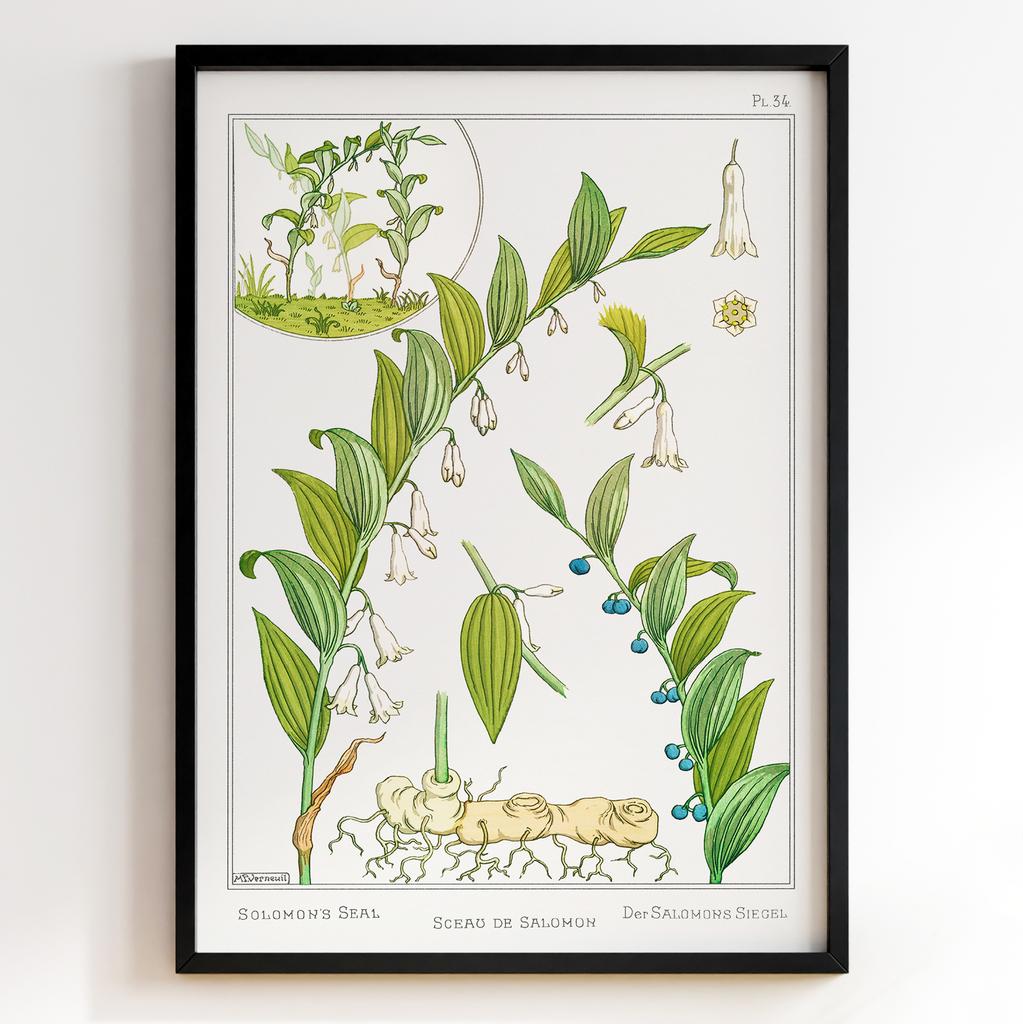 Постер Моріс Пійяр Вернейль | Maurice Pillard Verneuil Арт: 28739