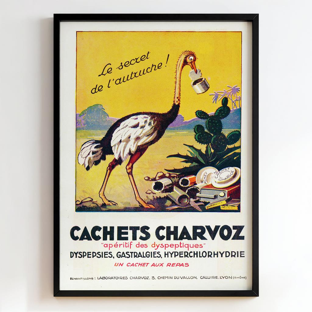 Ретро постер "Le secret de l’autruche – (1925)"