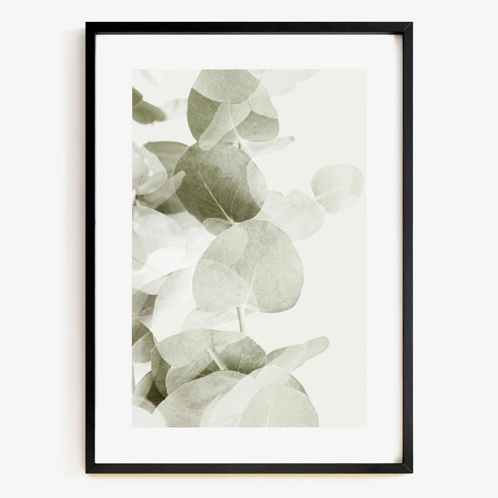 "Soft Eucalyptus" ботанічний постер у світлих тонах SE5371