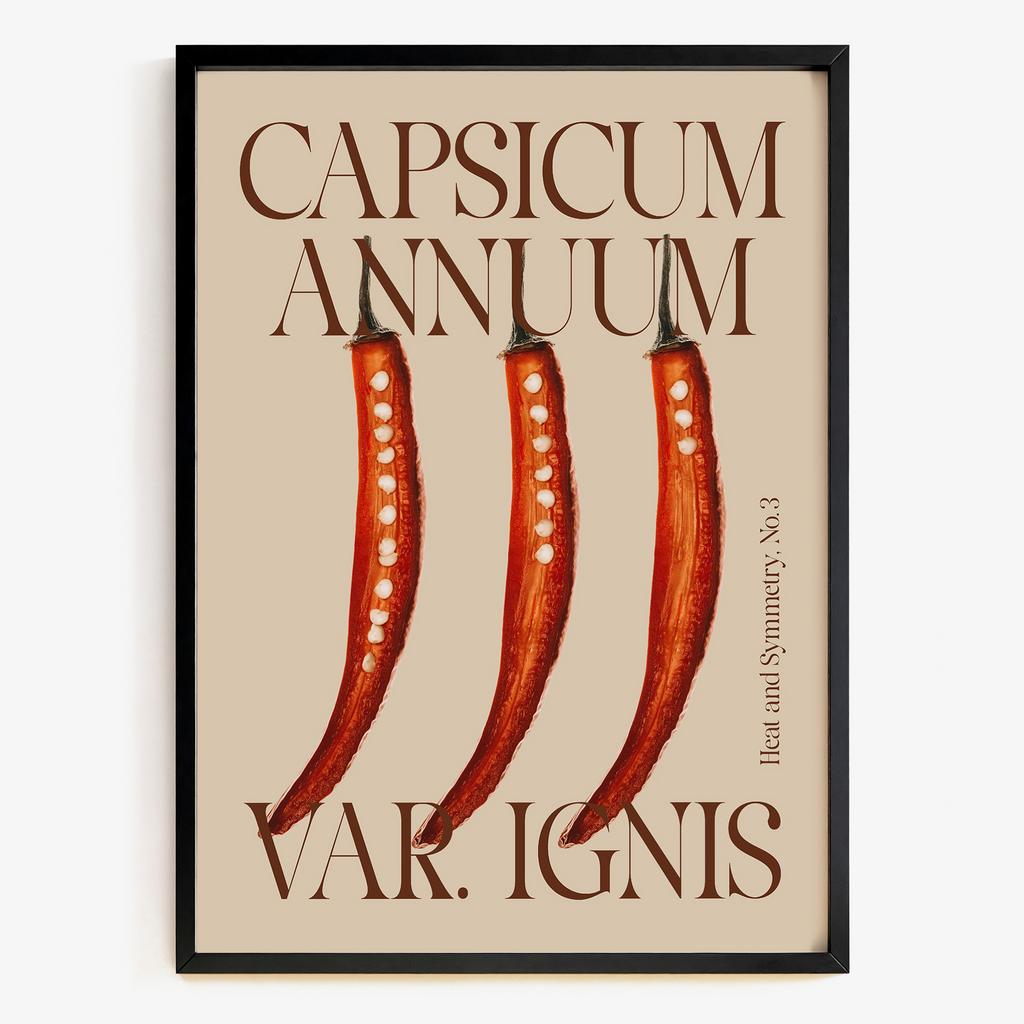 "Capsicum Annuum" графічний постер з перцем YK5834