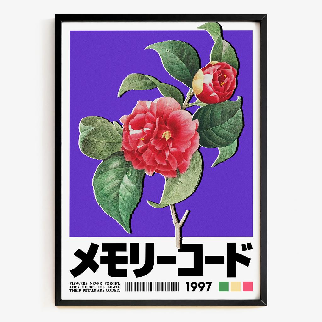 Kyoto Bloom японська камелія фуксія JP4972