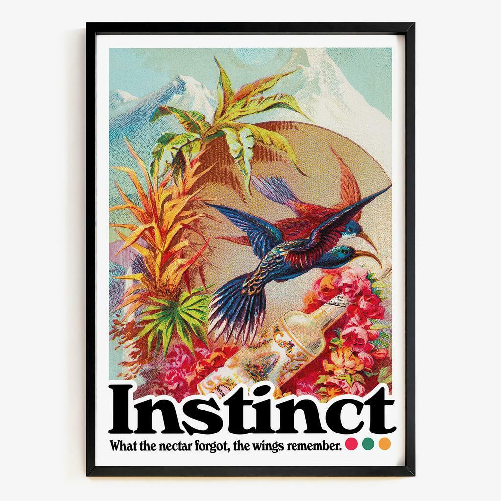 "Instinct" вінтажна тропічна графіка з колібрі VP6734