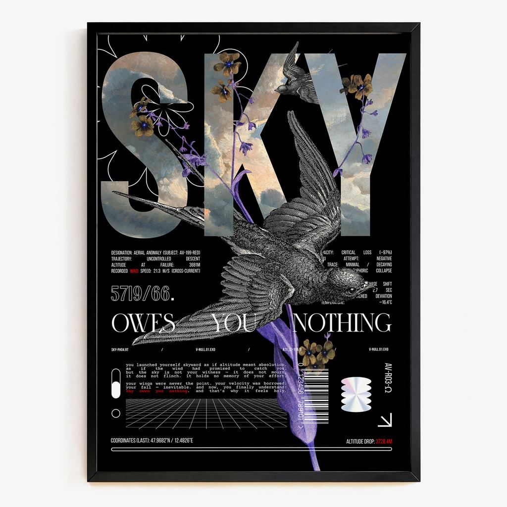 "Sky Owes Nothing" графіка польоту Арт1987