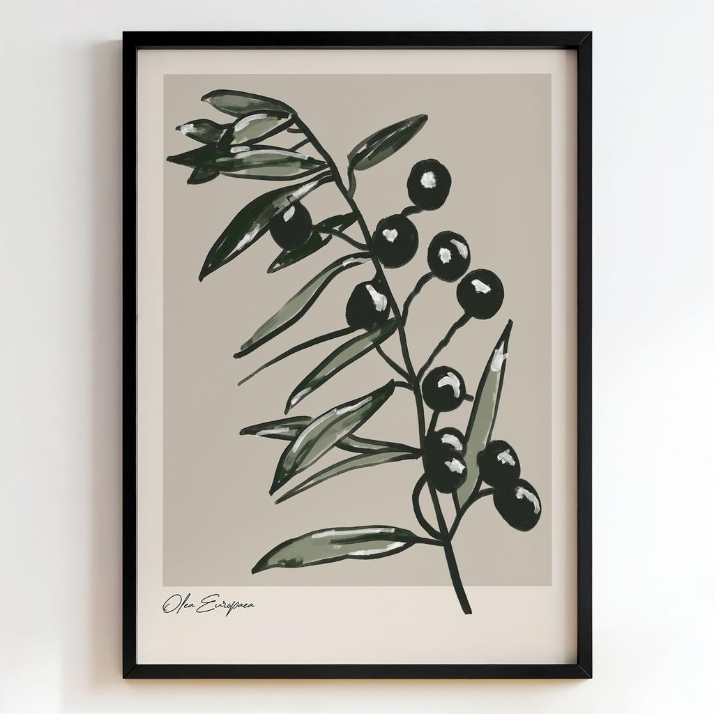 "Olea Europaea" гілка оливи з плодами PS8464
