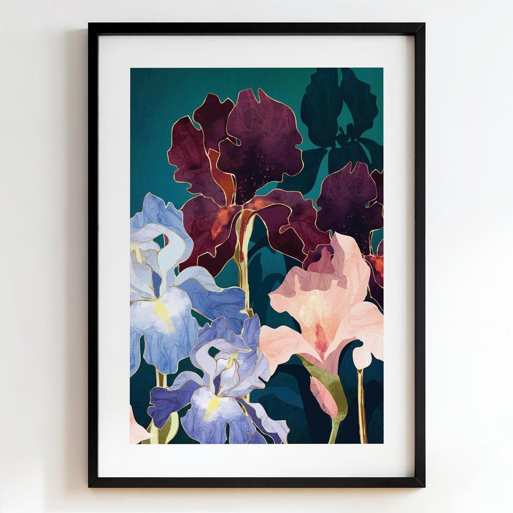 "Midnight Iris Symphony" колекція ірисів PS8627
