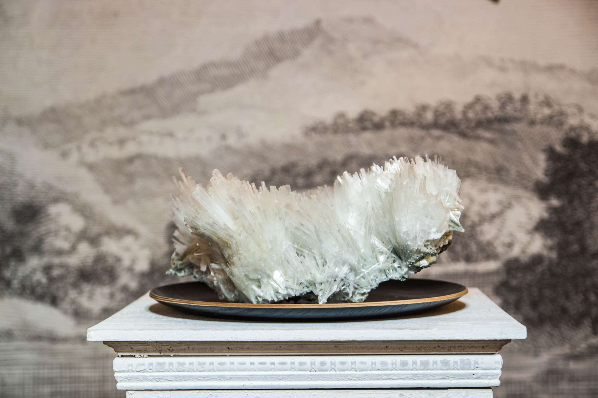 SCOLECITE