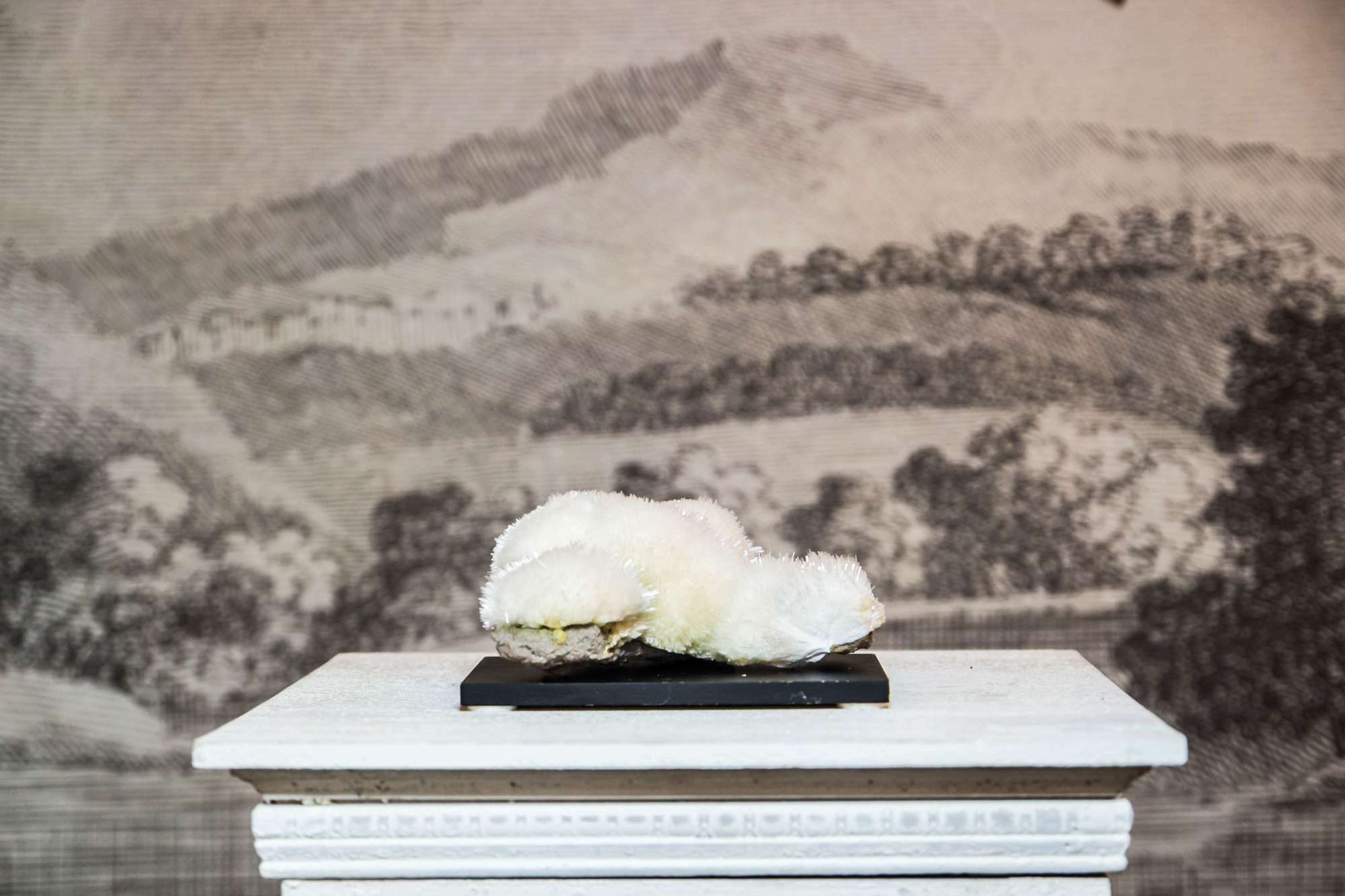 SCOLECITE