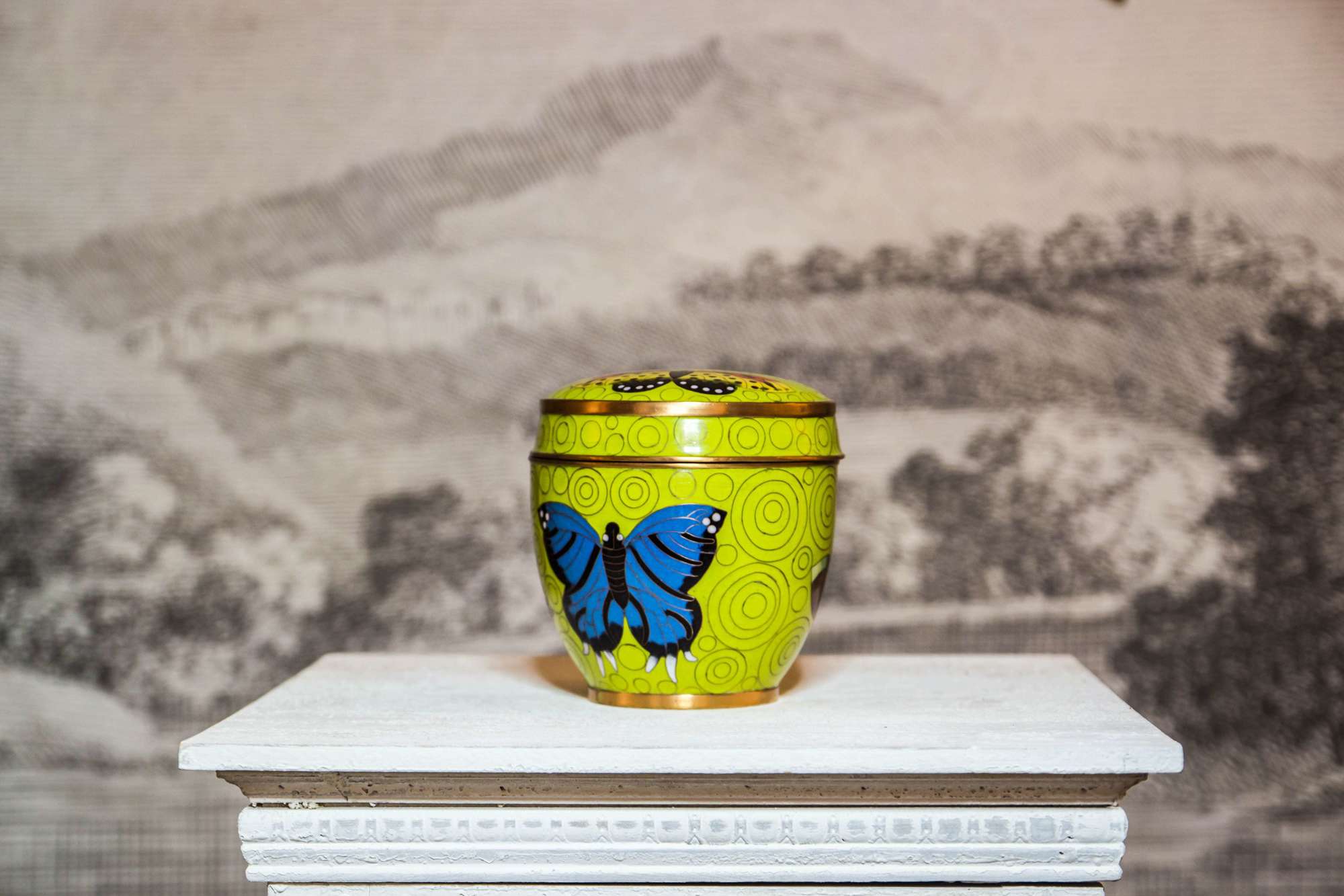 Round Box with Butterfly