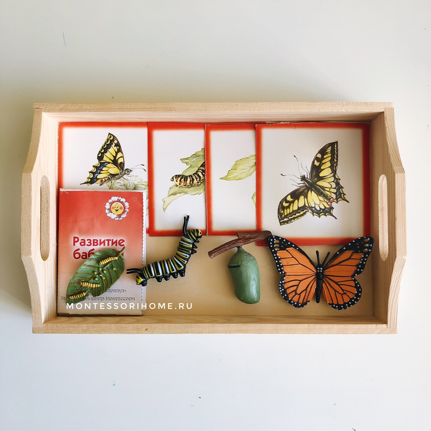 Набор фигурок Бабочка Монарх safari ltd купить детские игрушки в интернетмагазине Монтессори дома