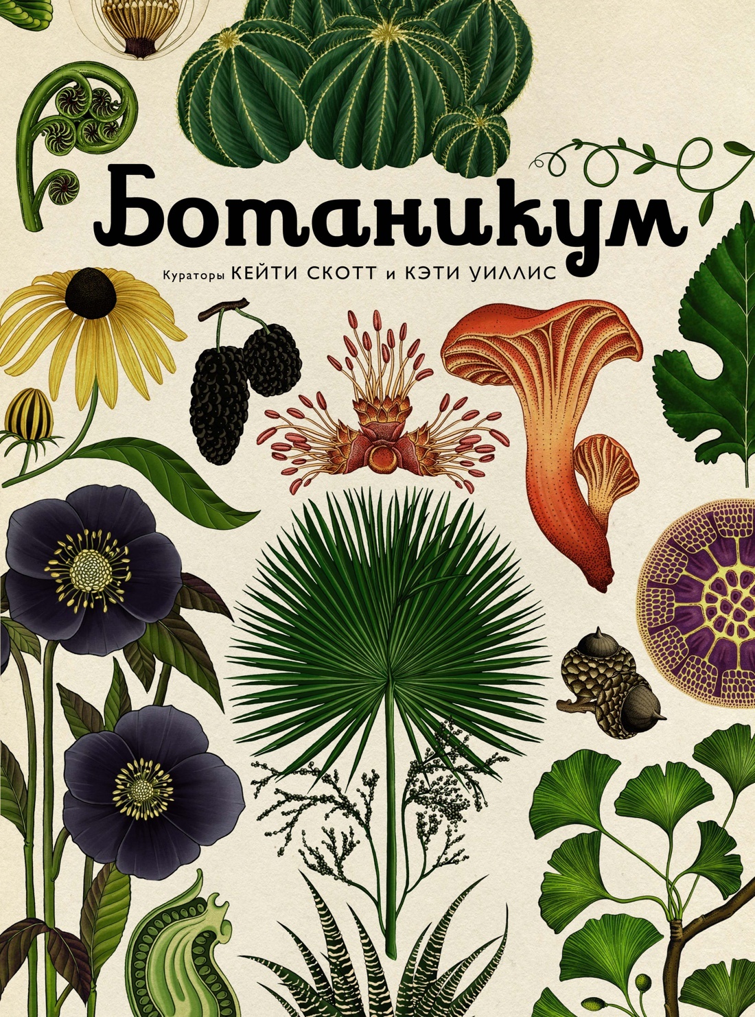 Ботаникум ботаникум ботаникум кэти уиллис. Ботаникум кейти скотт. Ботаникум книга. Ботаникум. ).