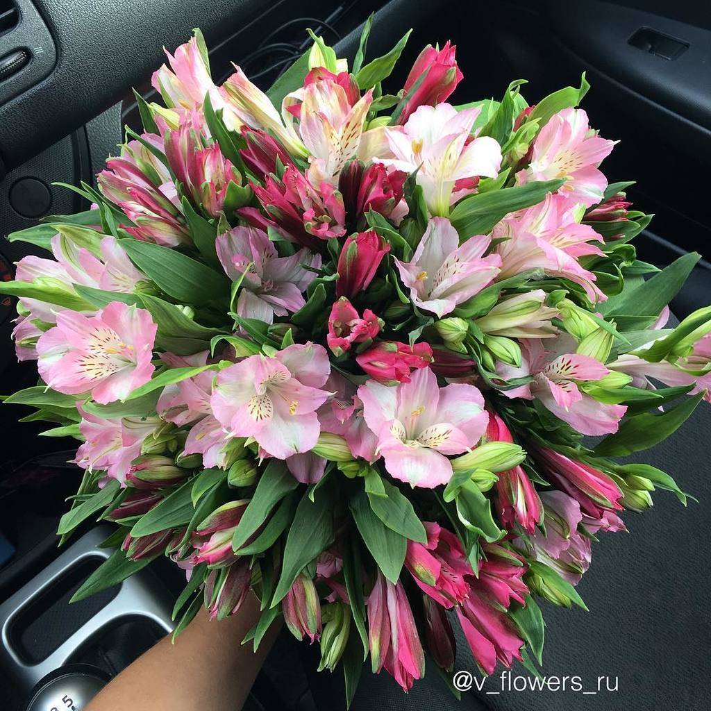 Купить букет Флоренция от V-flowers. Доставка цветов и букетов Тверь.