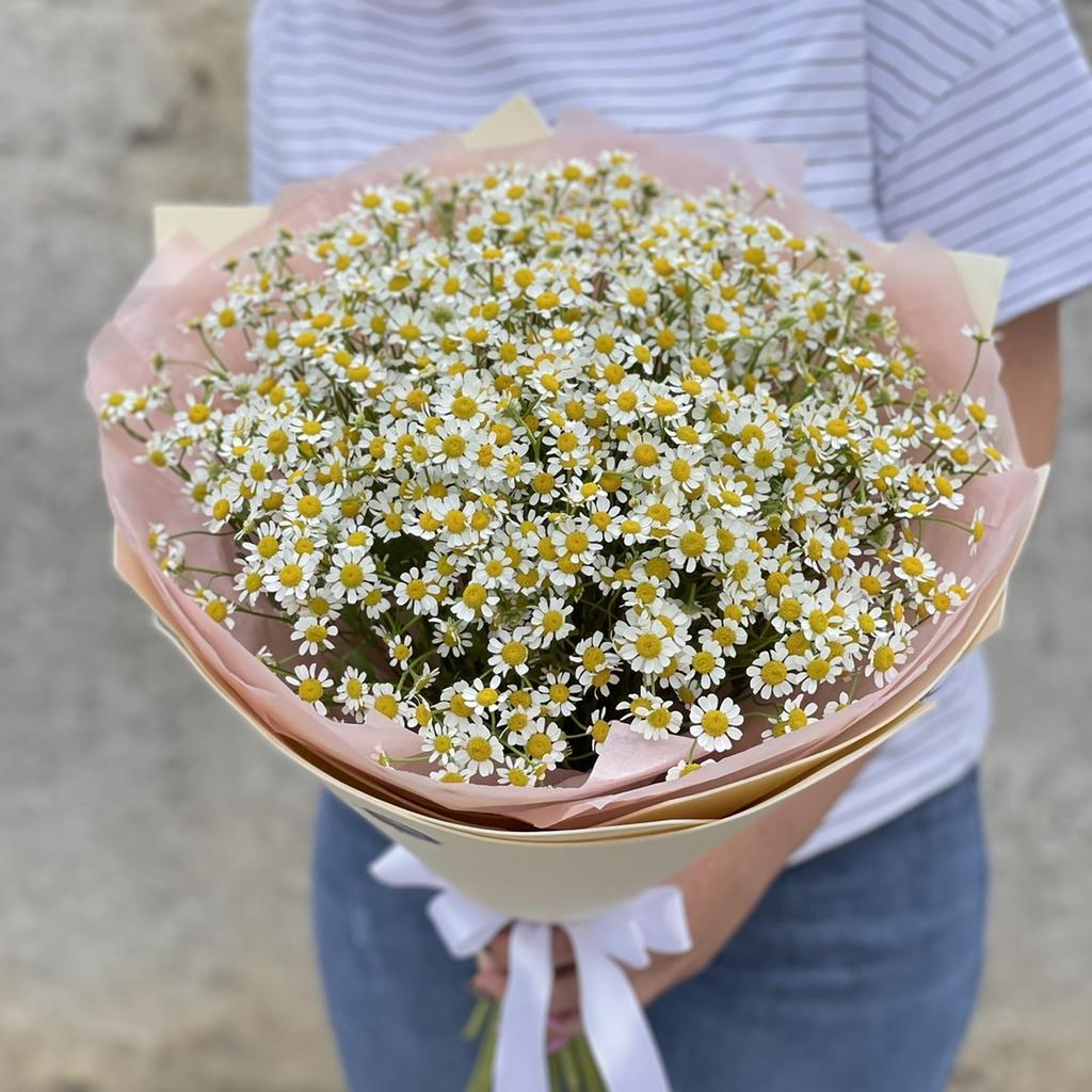 Ромашки