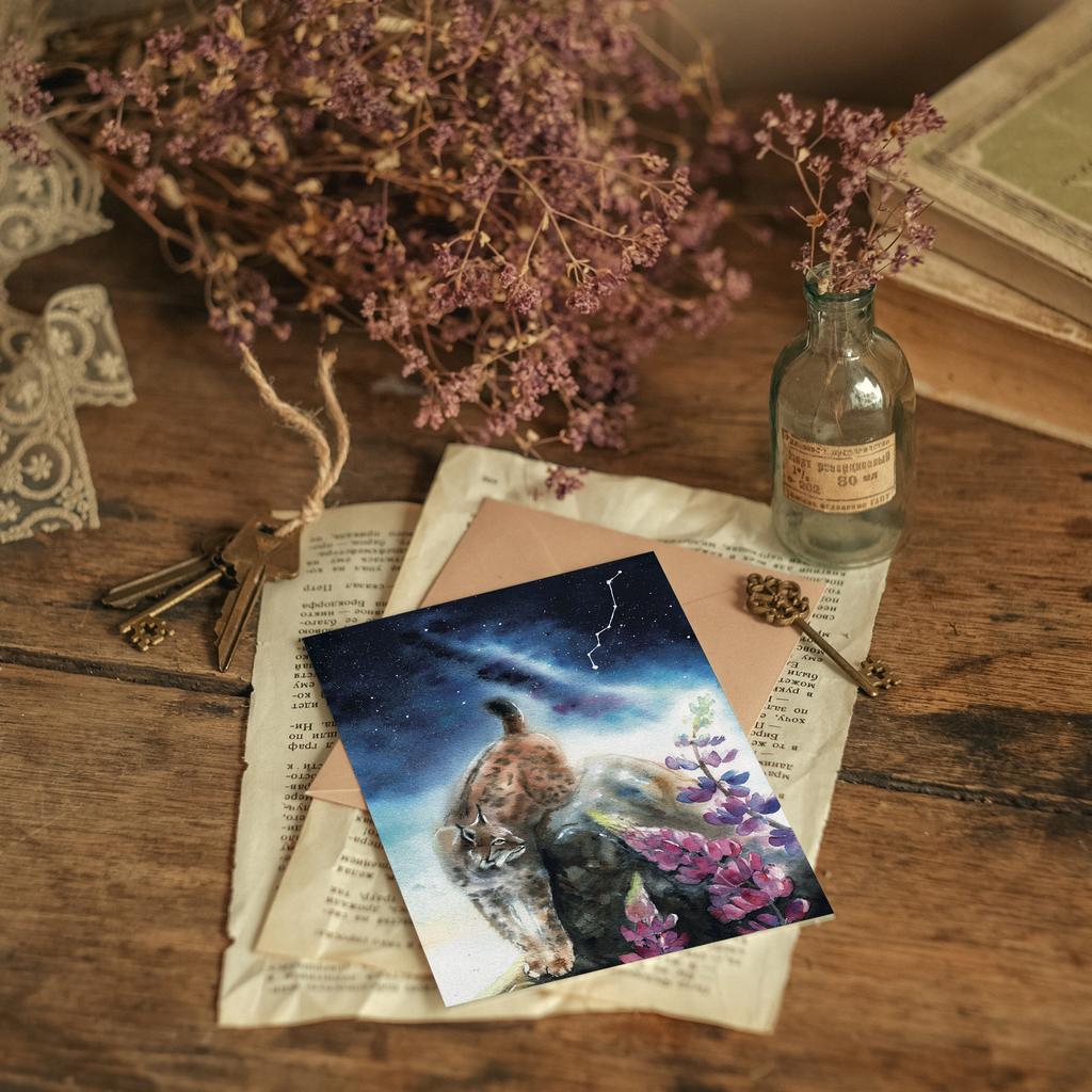 "Constellation of the lynx" postcard