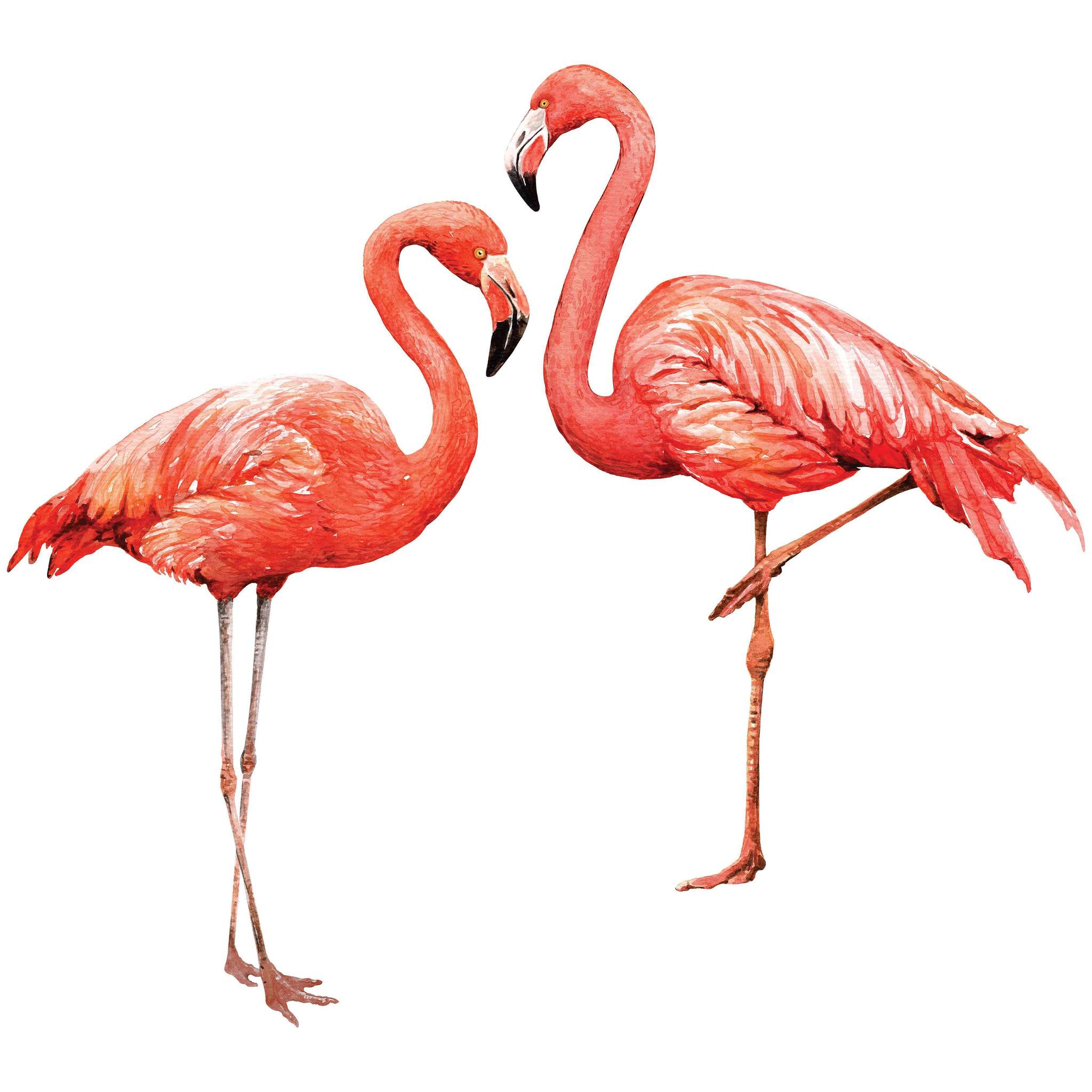 Фламинго — Википедия