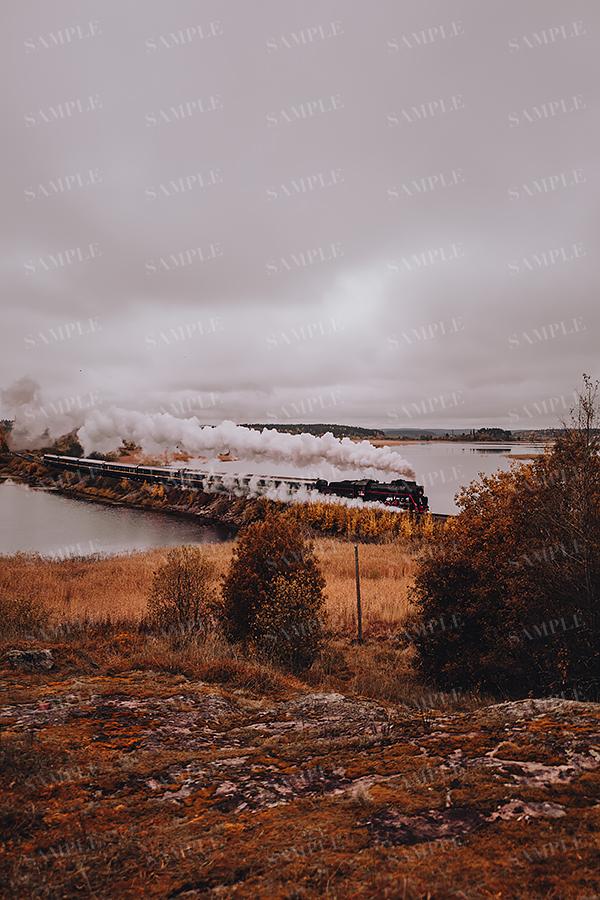 KARELIA#19