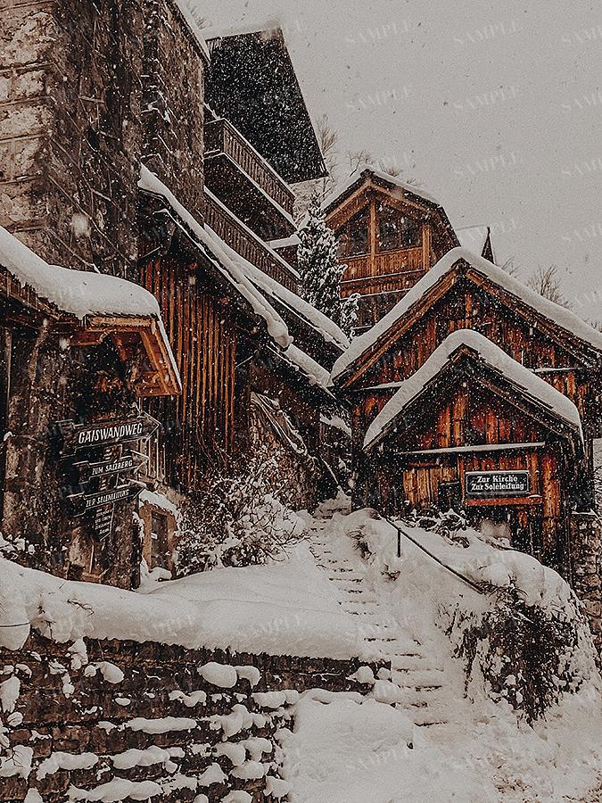 WINTER#11
