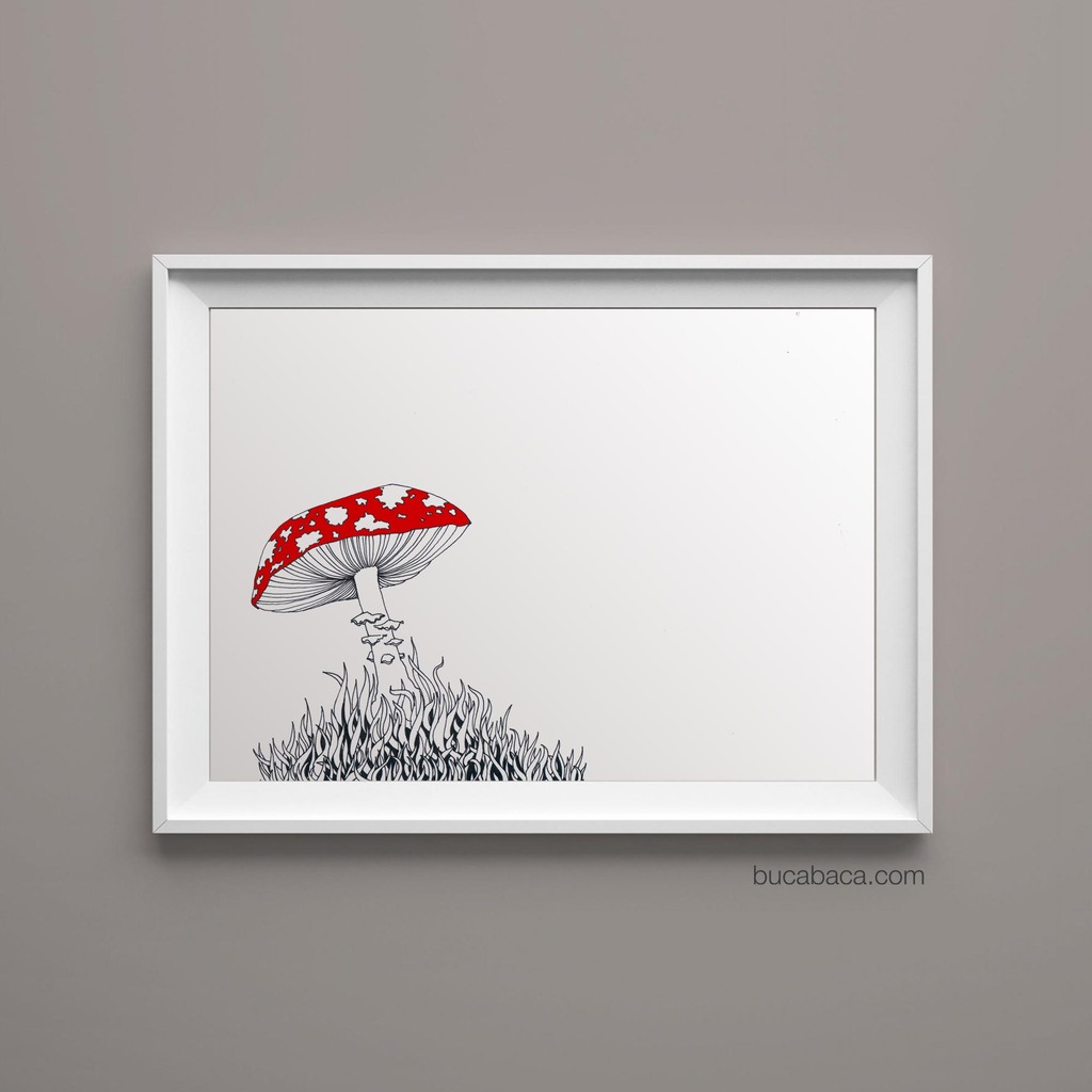 Плакат гриб