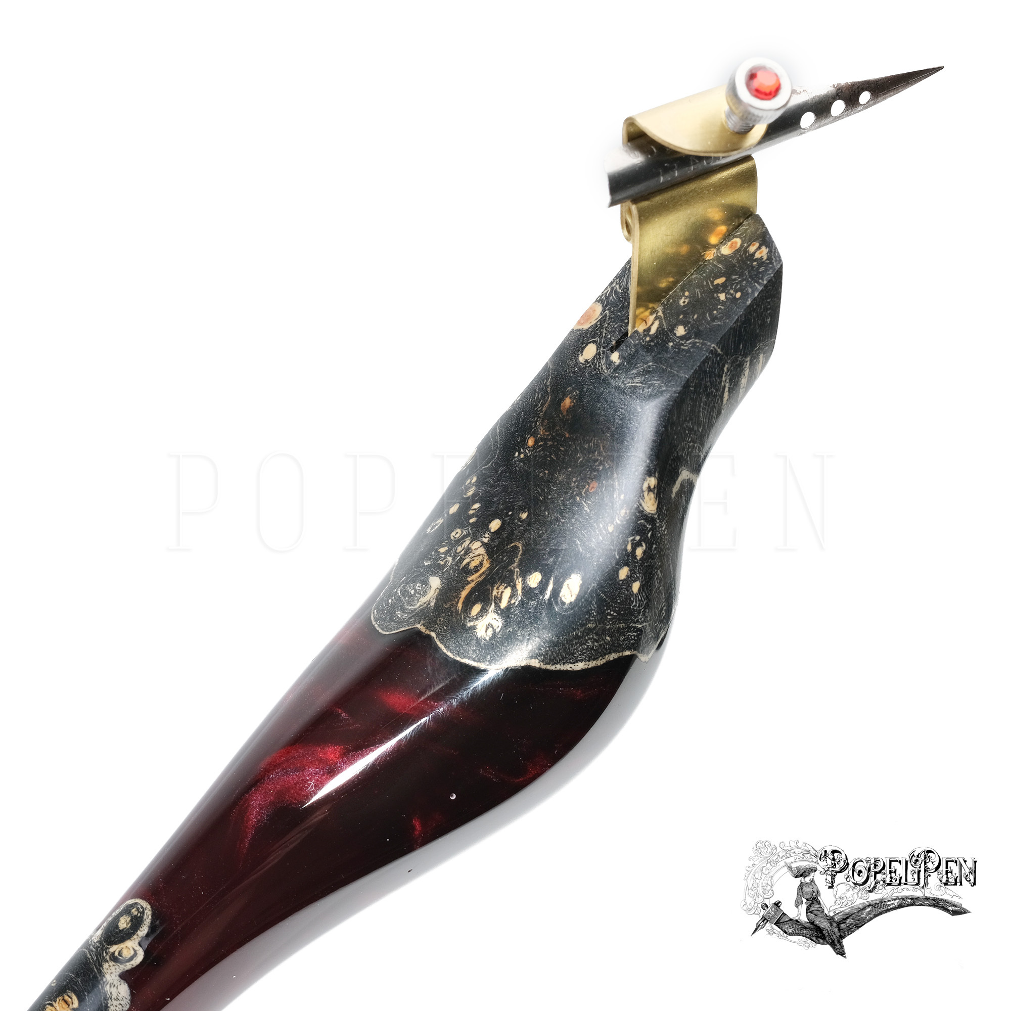 Obliquepenholder  "Count Dracula"