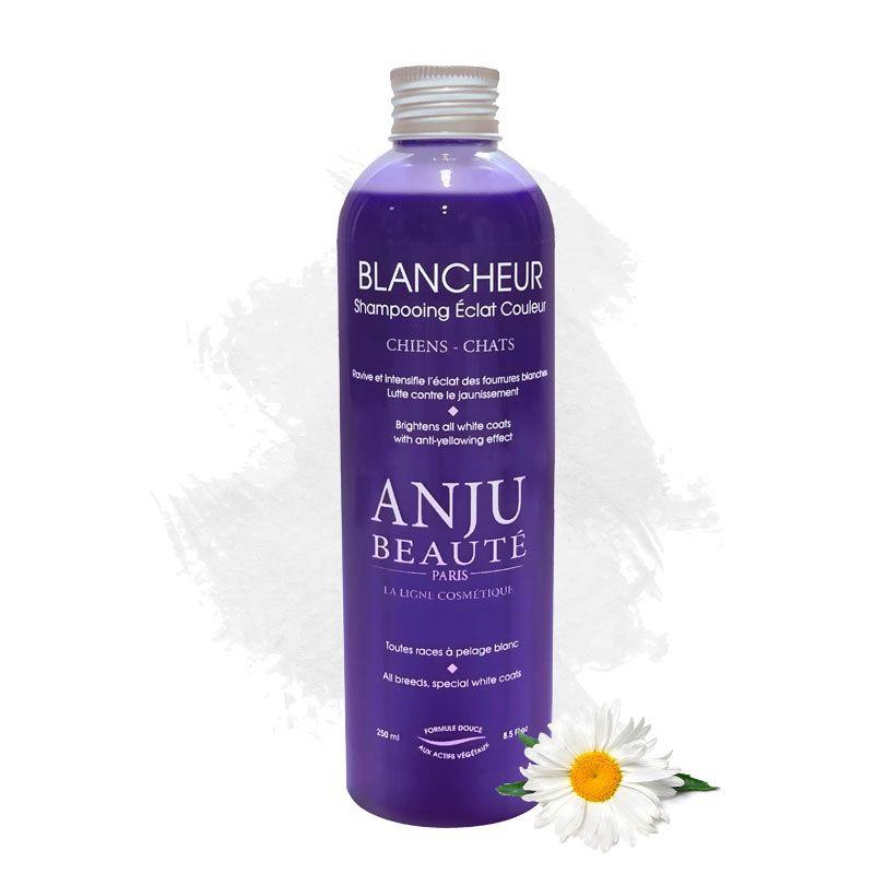 Anju Beauté Blancheur Shampoo Weißshampoo, 250 ml