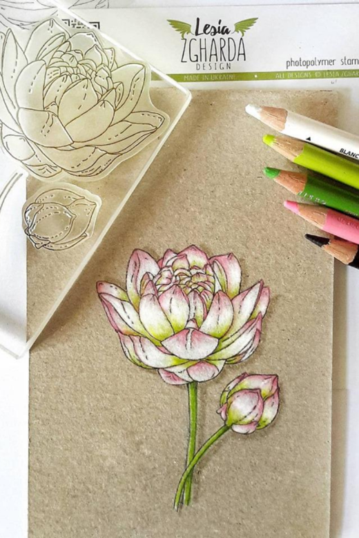 {FL237} Stamp Set  "Water Lily"