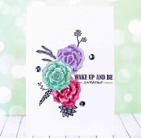 {N064} Stamp Set "SUCCULENTS AND SENTIMENTS"
