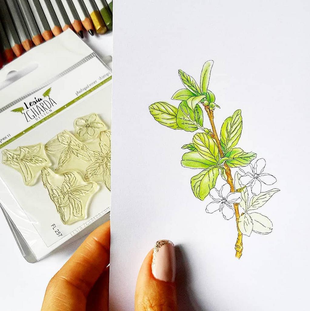 {FL257} Stamp Set "Plum blossom"