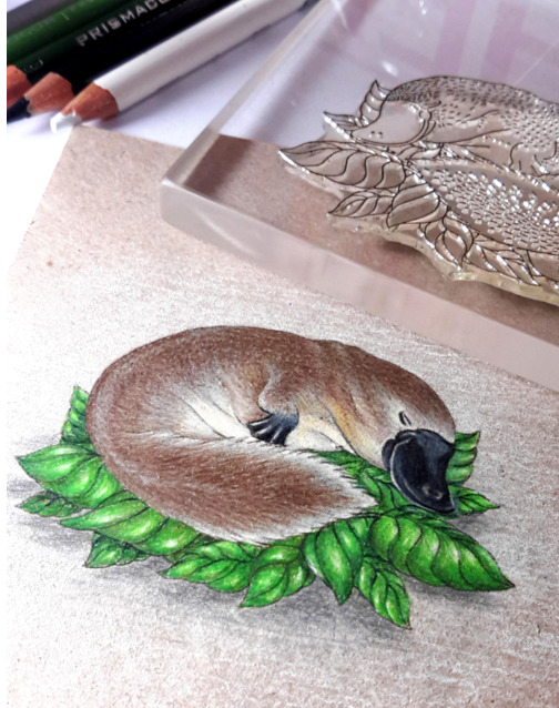 {FA142} Stamp Set "Platypus"