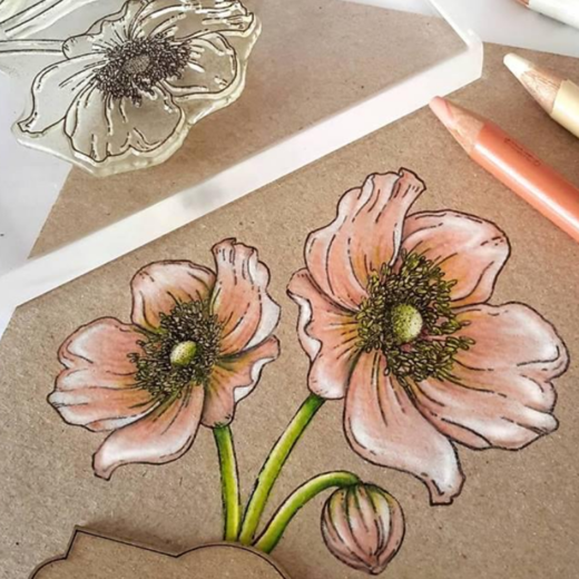 {FL291} Stamp Set "Anemone"