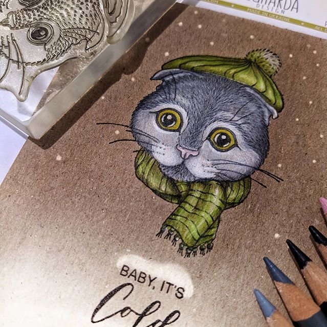 {FA146} Stamp Set "Christmas cat"