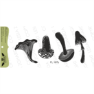 {FL167b-s} Stamp Set "Mushrooms (Inversion)"