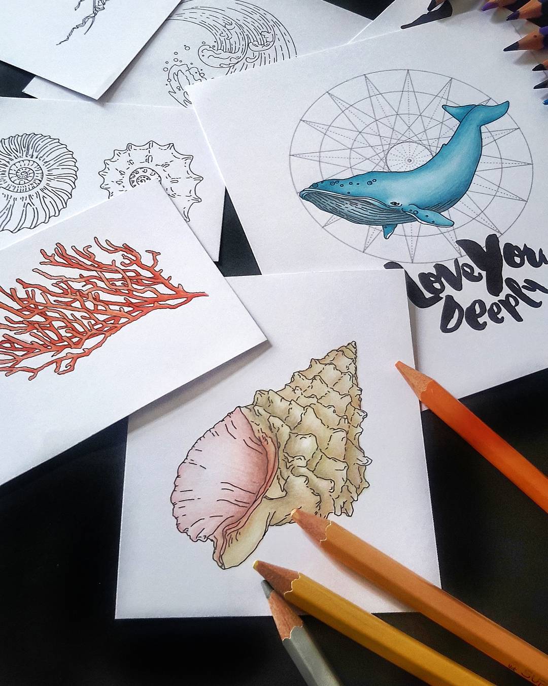 {S027} Stamp "Big Shell"