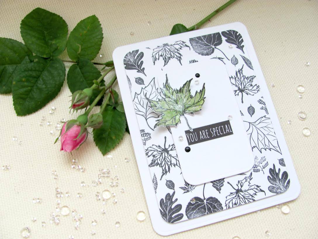 {FL087} Stamp Set "Maple leaves"