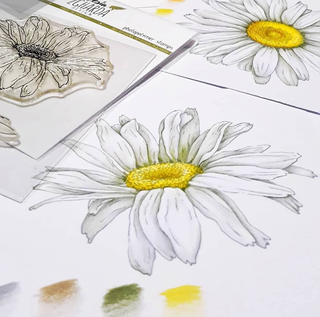 {FL086a} Stamp Set "Chamomile large"