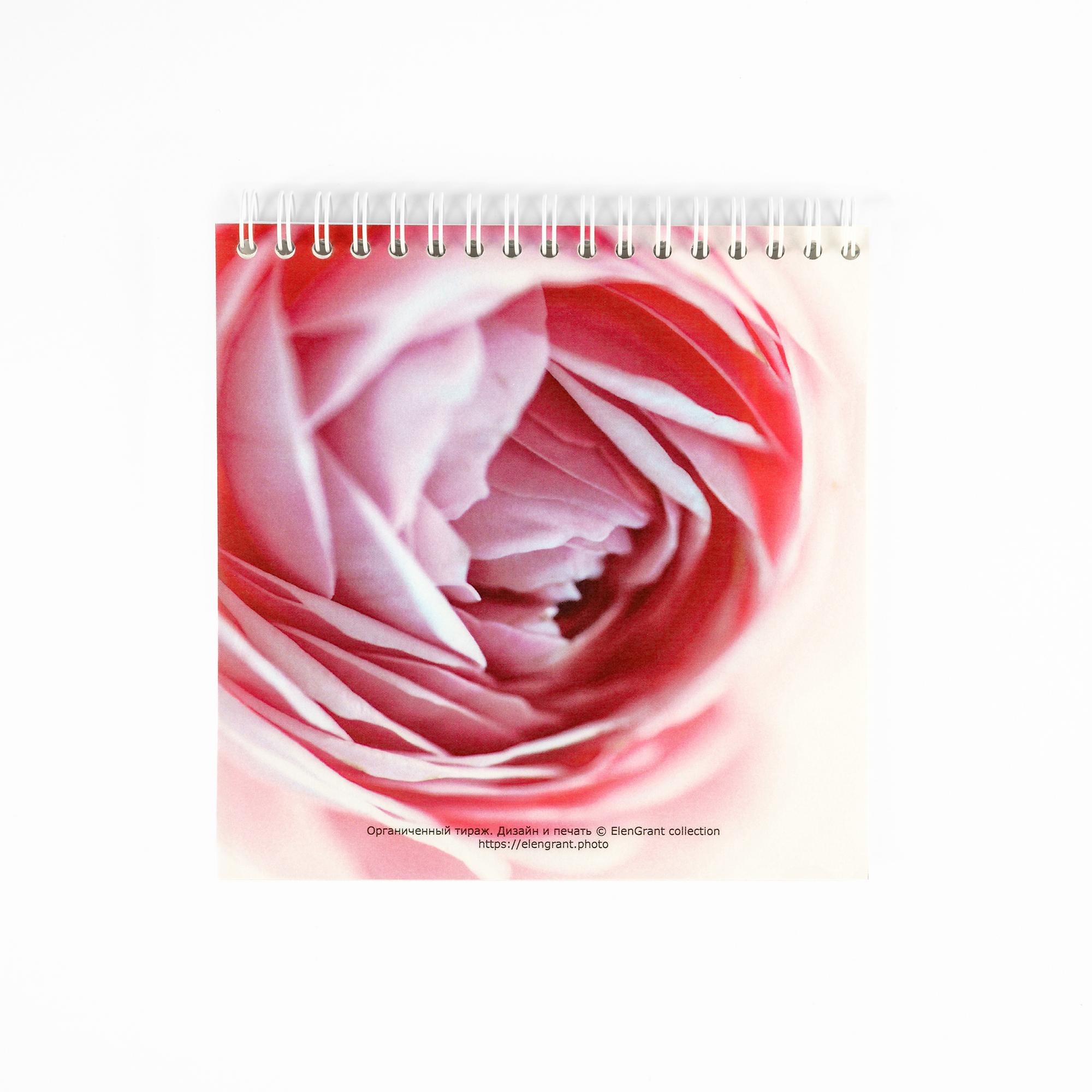 Sketchbook "Pink"
