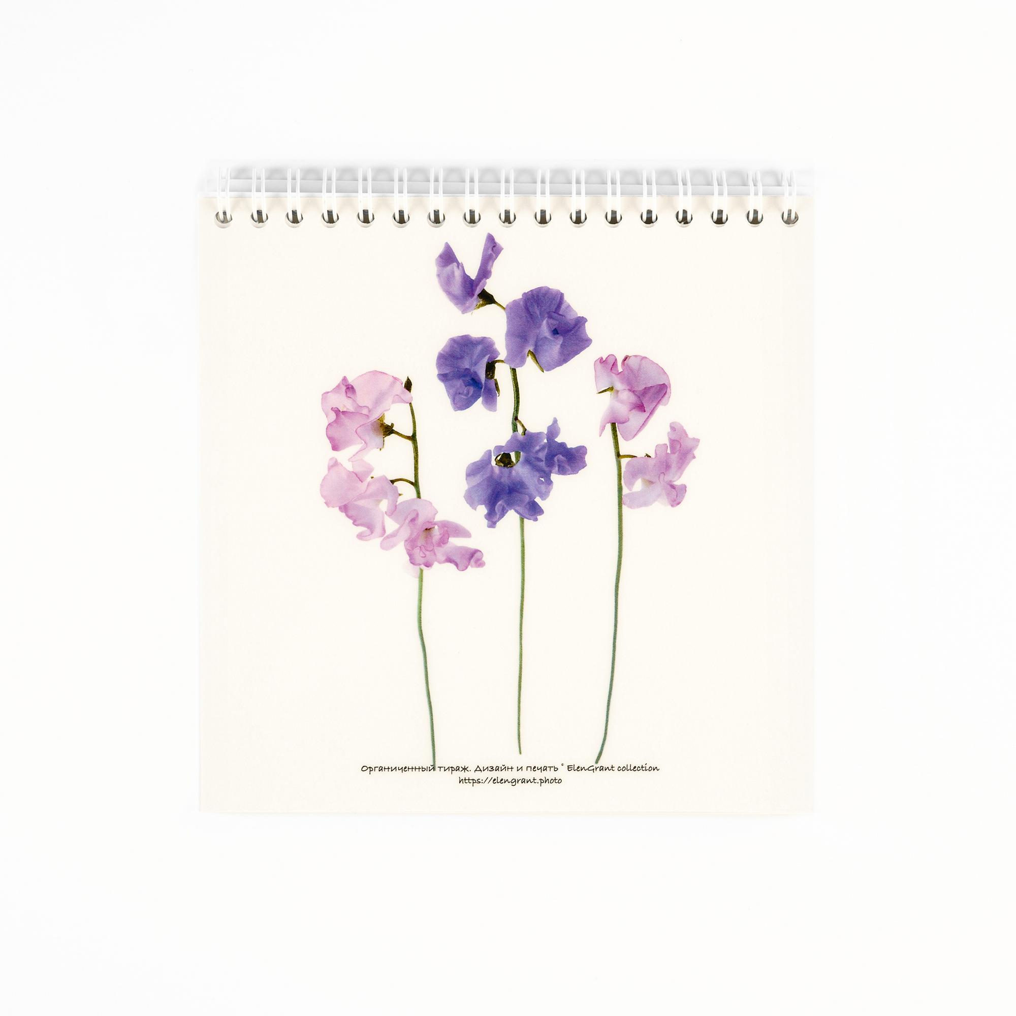 Sketchbook "Sweet pea"
