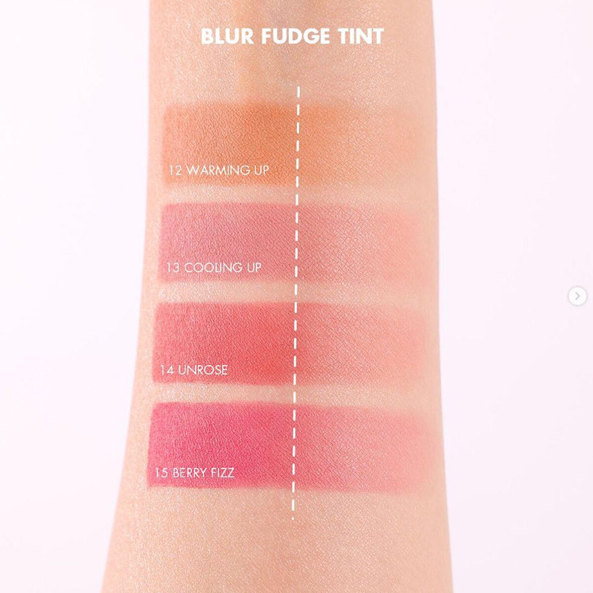 Тинт для губ ROM&ND Blur Fudge. ROM ND Blur Fudge Tint 15 Berry Fizz. ROM&ND Blur Fudge Tint. ROM&ND Blur Fudge.