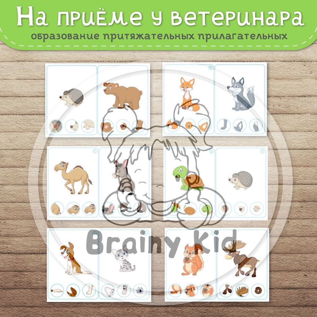 Дидактическая игра «На приёме у ветеринара»