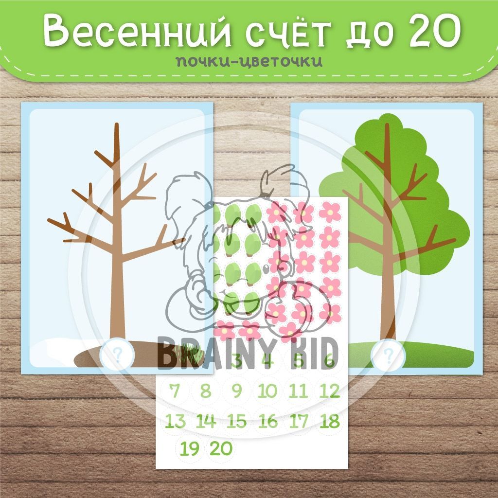 Весенний счёт до 20. Считаем почки и цветочки.