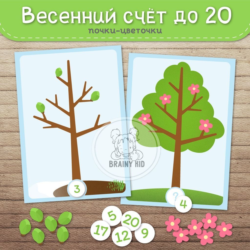 Весенний счёт до 20. Считаем почки и цветочки.