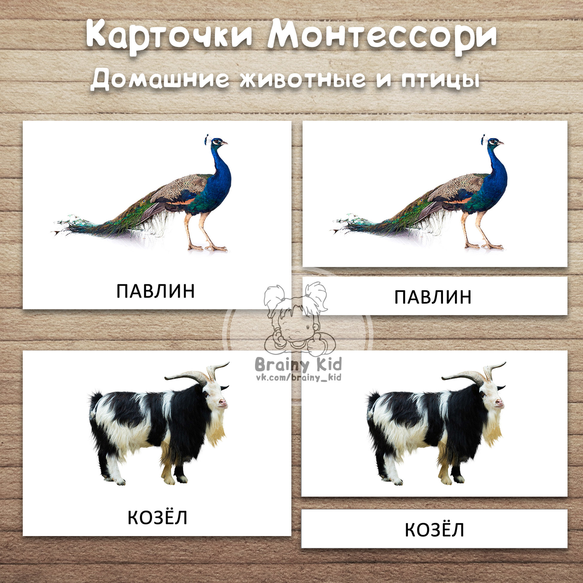 Все > Карточки Монтессори - Домашние животные и птицы купить в  интернет-магазине
