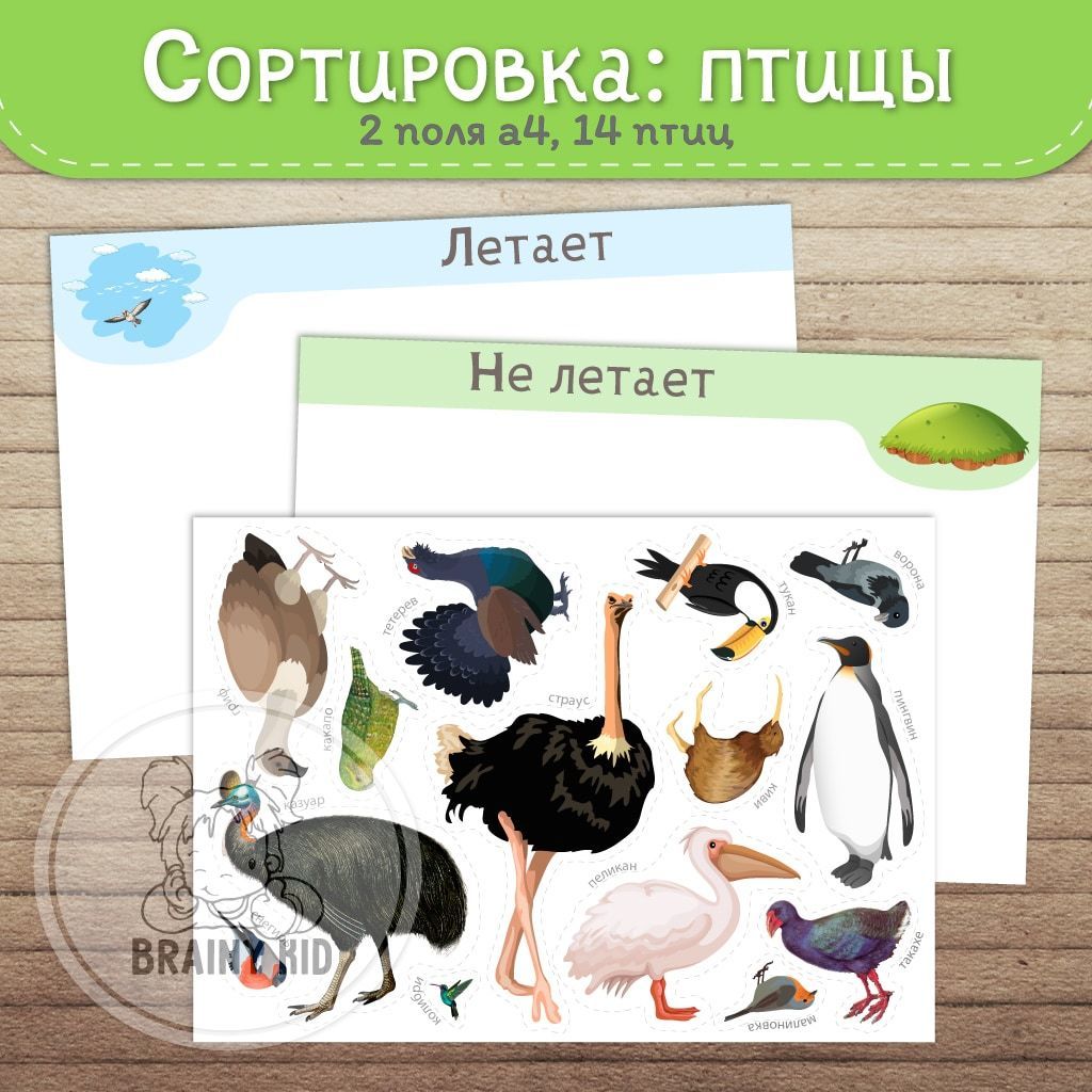 Яркие птицы в джунглях. Найди домик для птички по цвету. Разноцветные птички для малышей для игр. Сортировка птиц по цветам. Детские пособия птицы.