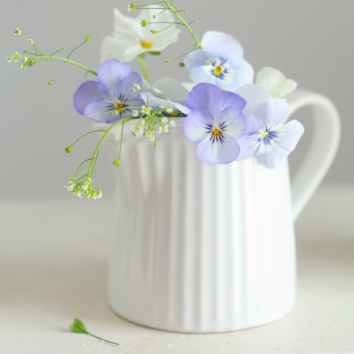 Глечик/молочник керамічний 250мл Alice White GreenGate