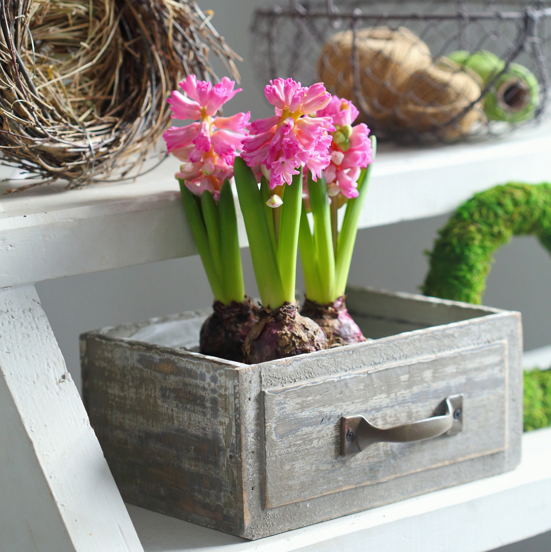 Ящичок-шухлядка дерев'яний 22см Canea