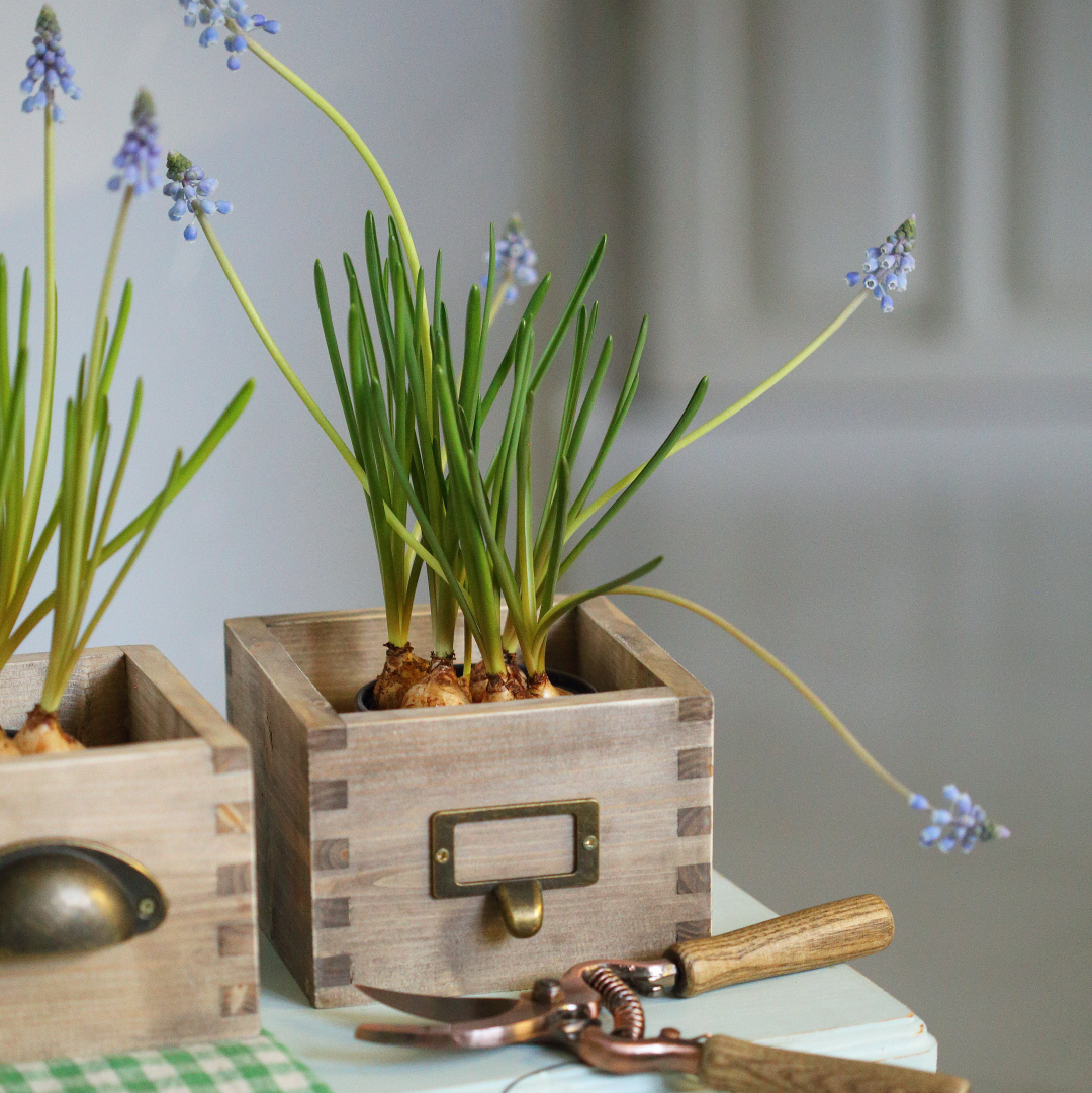 Ящичок-шухлядка дерев'яна 13см з ручкою-ярликом DreamWood