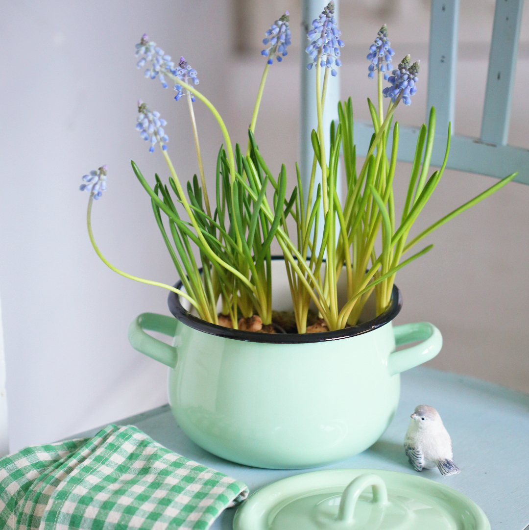 Каструля 2,4л салатова з кришкою