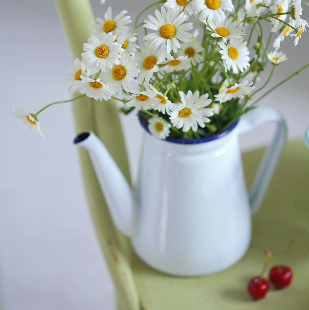 Чайник емальований 1л білий Canea