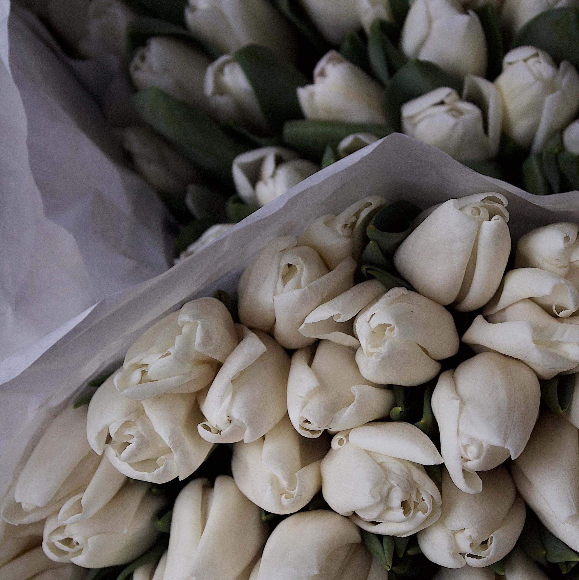 Букет тюльпанів var.1